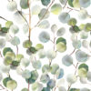 imprimé eucalyptus